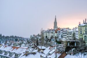 落雪注意！知らなかったでは済まされない、屋根雪止めの重要性②