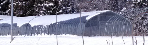 温度管理が容易な遮熱ビニールハウスに！雪も積もりにくい！　遮熱　ビニールハウス　農業用（奥州市）
