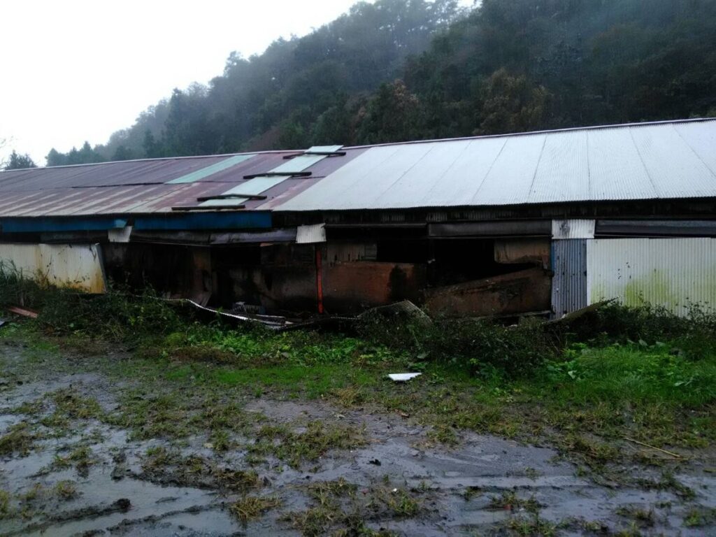 自然災害の保険申請も快く対応してくれた！　鶏舎　台風　外壁張替え（大船渡市）