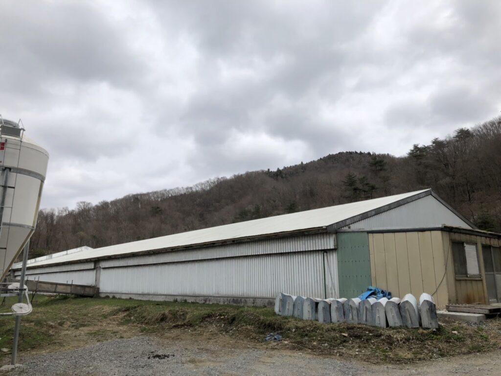 豚舎内温度管理と屋根メンテナンスが同時にできた！　遮熱　畜舎（住田町）　