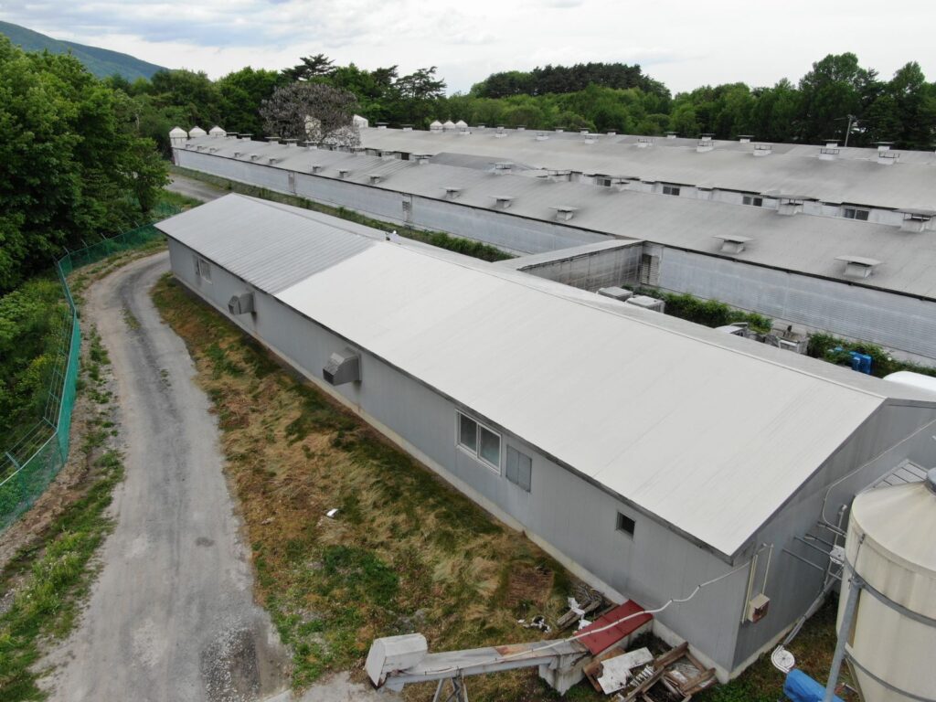 遮熱工事完了!~県北豚舎~