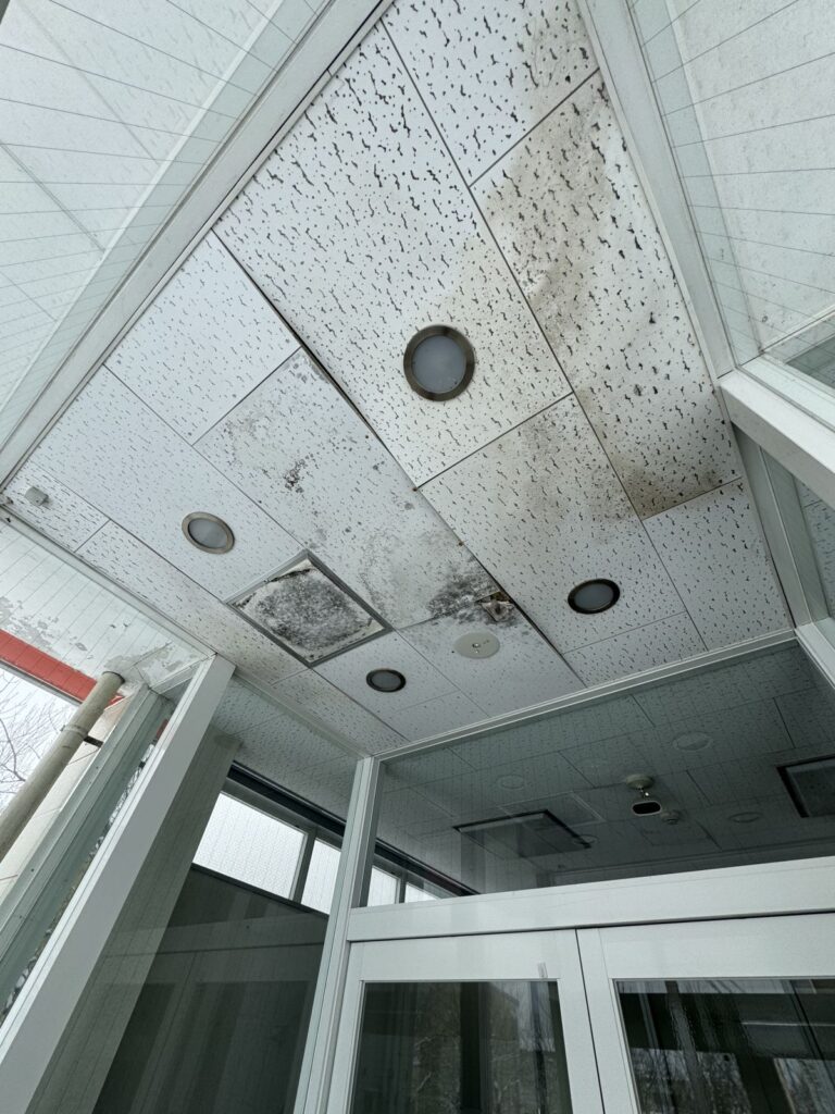 【奥州市】長年悩まされていた雨漏りが解決し安心しました！